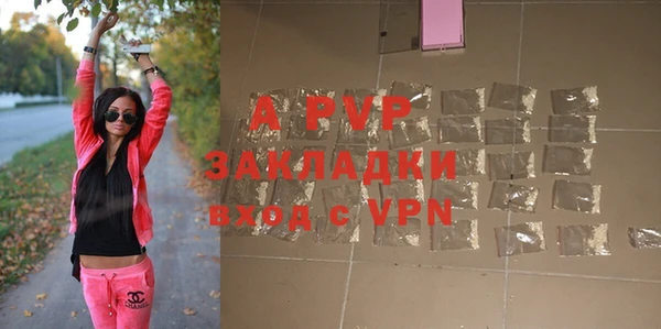 индика Алексин