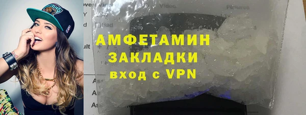 индика Алексин
