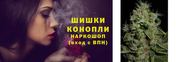 дмт Алзамай