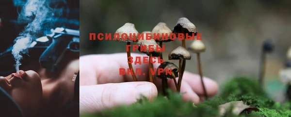 индика Алексин