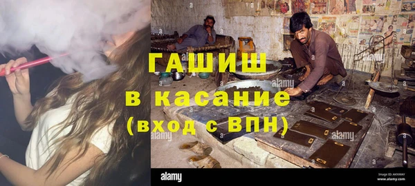 индика Алексин