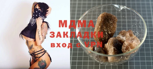 индика Алексин