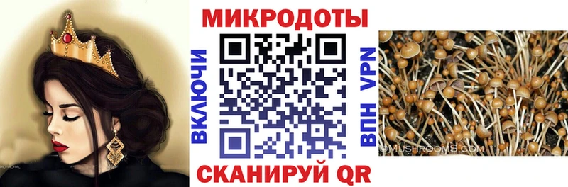 Псилоцибиновые грибы Psilocybe  Апшеронск 